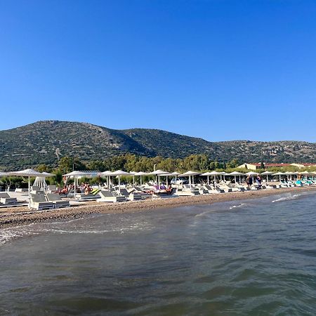 ピタゴリオ Holiday Oasis With Private Patio And Hammam-Style Bath In Chora-Pithagoreo, Samos Islandヴィラ エクステリア 写真