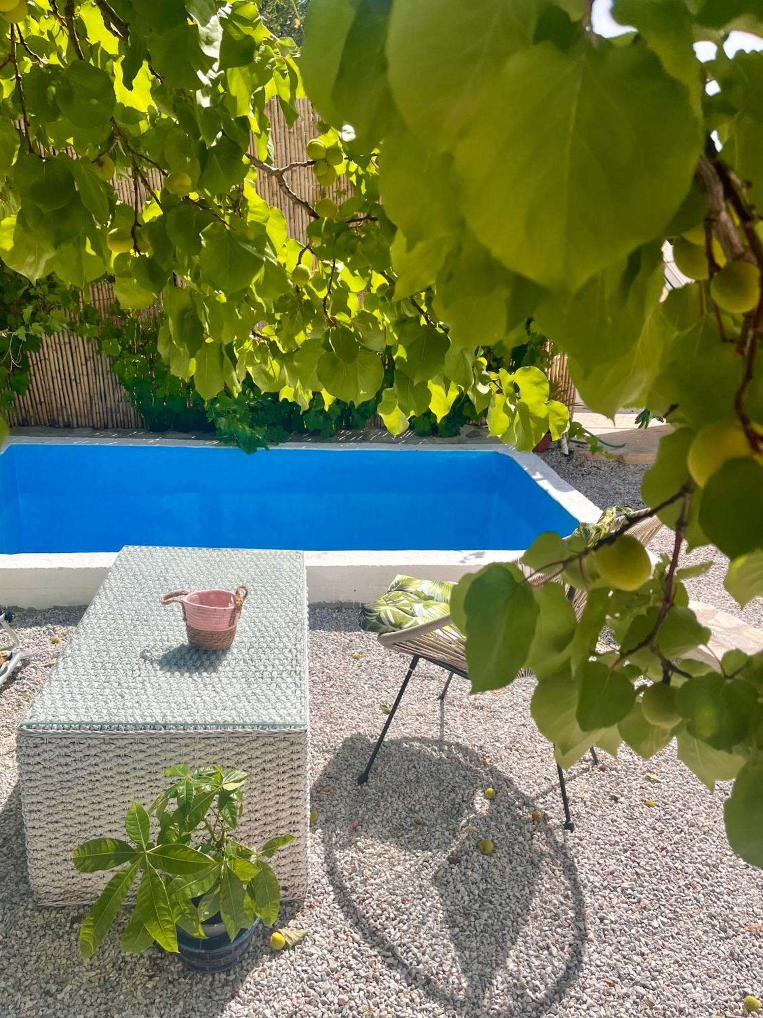 ピタゴリオ Holiday Oasis With Private Patio And Hammam-Style Bath In Chora-Pithagoreo, Samos Islandヴィラ エクステリア 写真